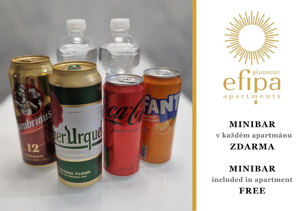 EFIPA Glamour Apartments - 13