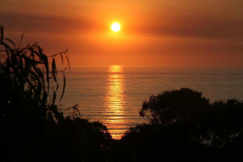 a sunset over the ocean with the sun in the sky at Great Ocean Road Sunrises in Lorne