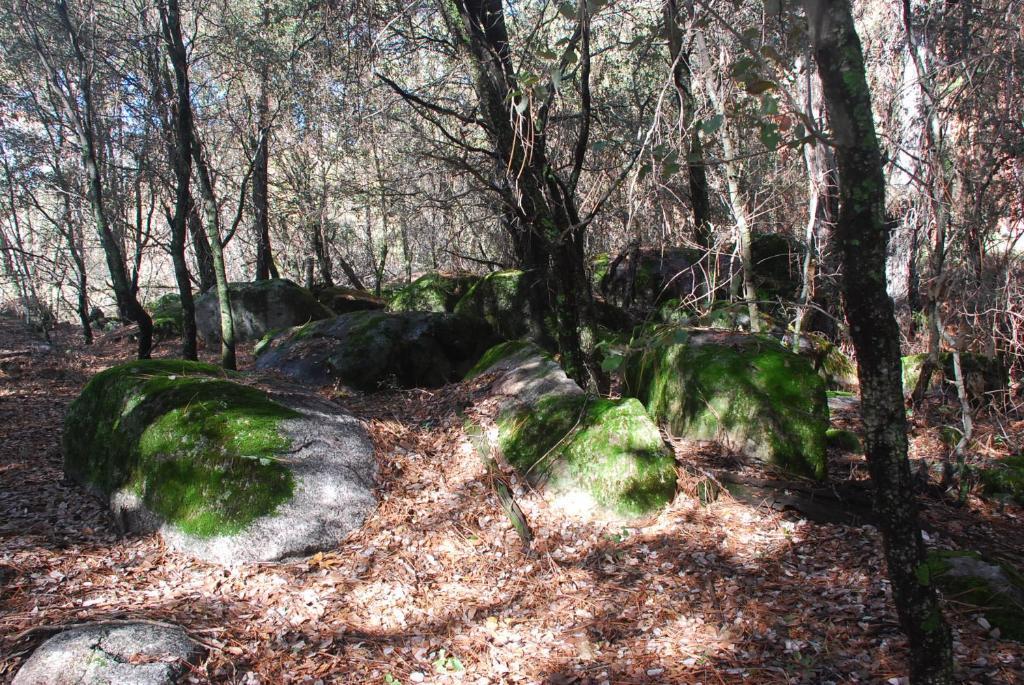 Paesaggio naturale nelle vicinanze del bed & breakfast