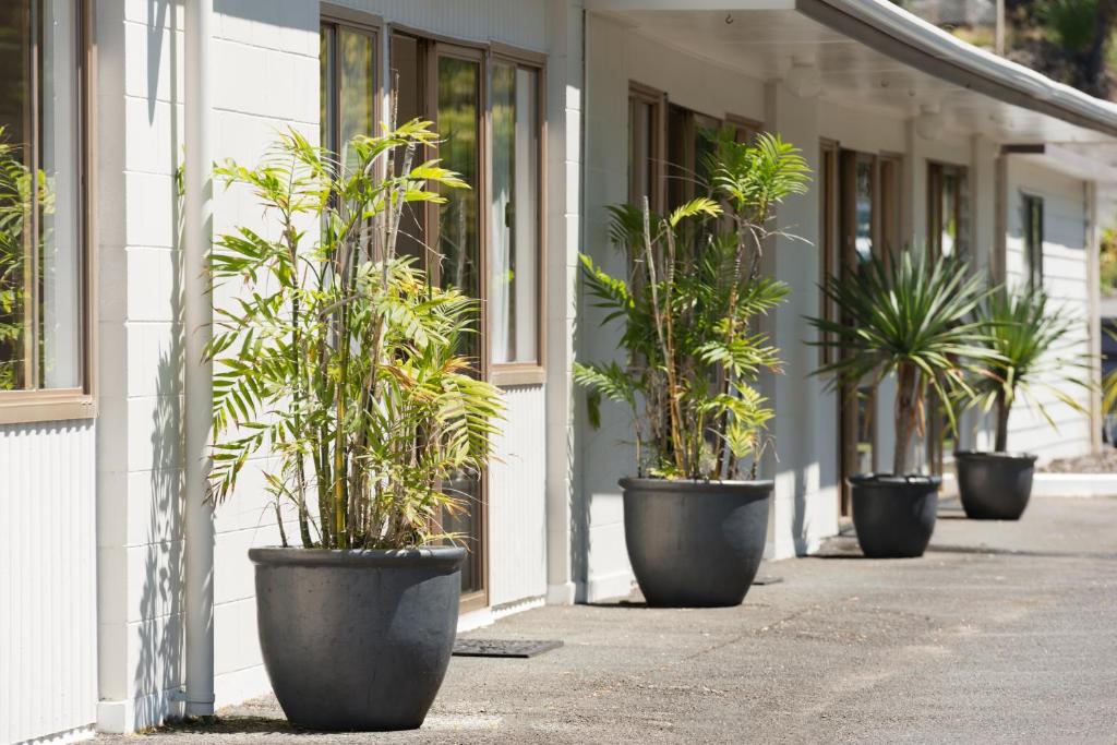 Zahrada ubytování Aarangi Tui Motel
