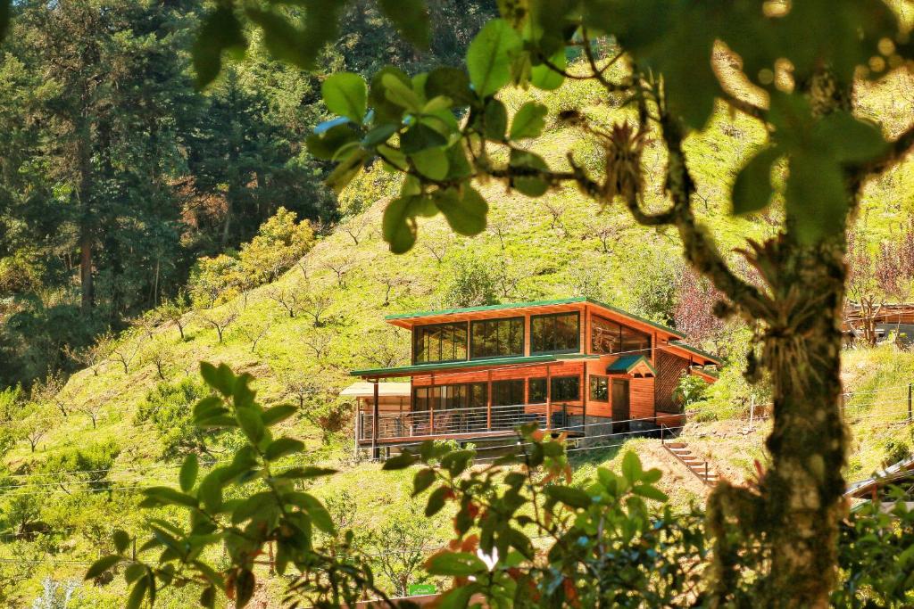 a wooden cabin on a hill in a forest at Casa Buena Vista San Gerardo de Dota in San Gerardo de Dota