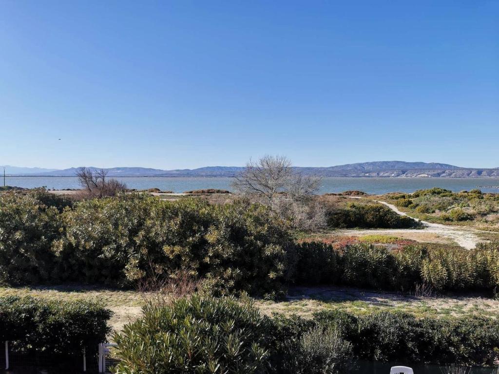 un champ de buissons avec l’eau en arrière-plan dans l'établissement Résidence Les Bastides Du Cap - Villa 4 pièces - 6 couchages LE BARCARES MAE-8421, au Barcarès