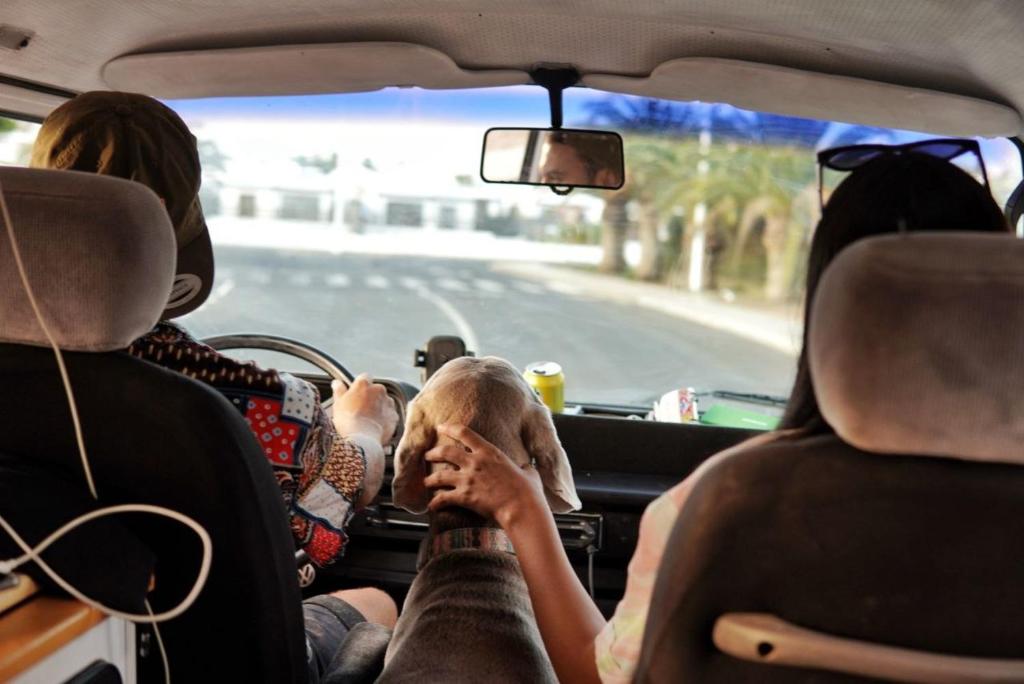 Hosté ubytování Camelvans Lanzarote Wesfalia volkswagen T3