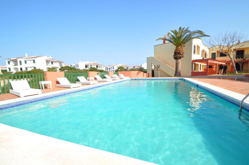 a swimming pool with chairs and a palm tree at Sant Joan Apartaments - Adults Only in Cala en Blanes