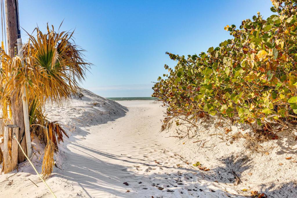 Phong cảnh thiên nhiên gần căn hộ