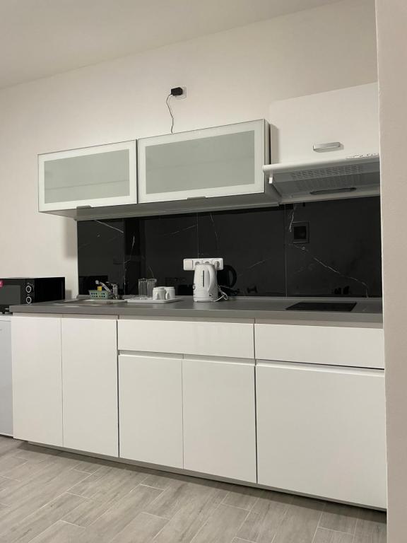 Kuchyň nebo kuchyňský kout v ubytování Apartmancheb