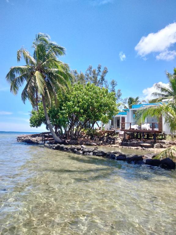 Bungalow les pieds ds l eau, La Maison Bleue - photo 3 - Moorea, Polynésie