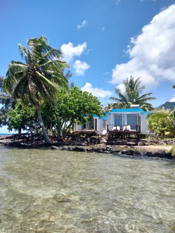Bungalow les pieds ds l eau, La Maison Bleue - photo 5 - Moorea, Polynésie