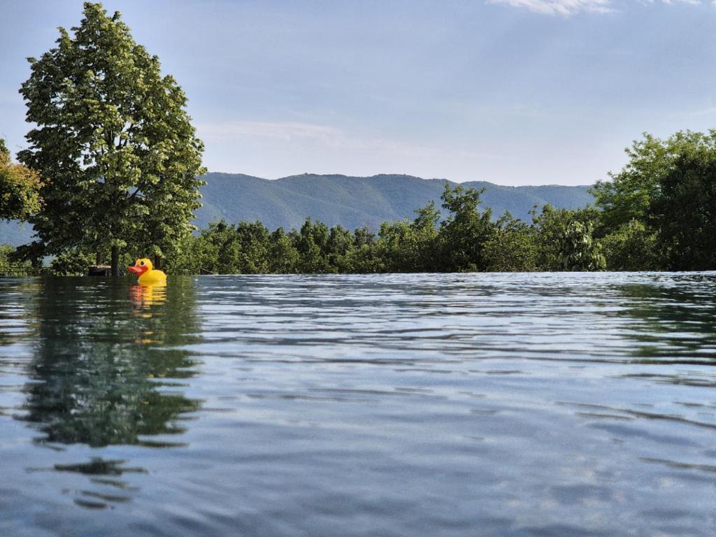 une personne se trouve au milieu d'un plan d'eau dans l'établissement Lou damisello - Villa moderne, à Viens