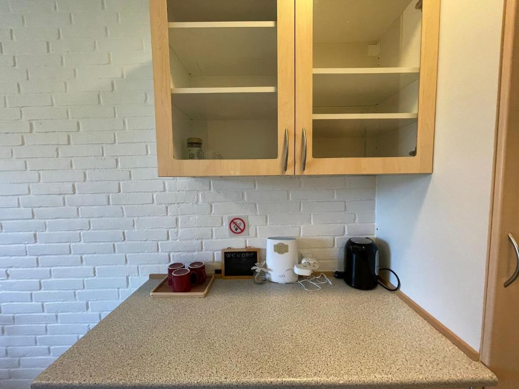 Η κουζίνα ή μικρή κουζίνα στο 5 min walk to LEGO house - studio room with private bathroom n4