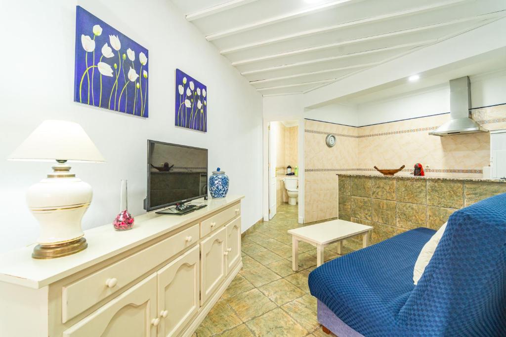 TV a/nebo společenská místnost v ubytování Apartamentos Casamonteymar