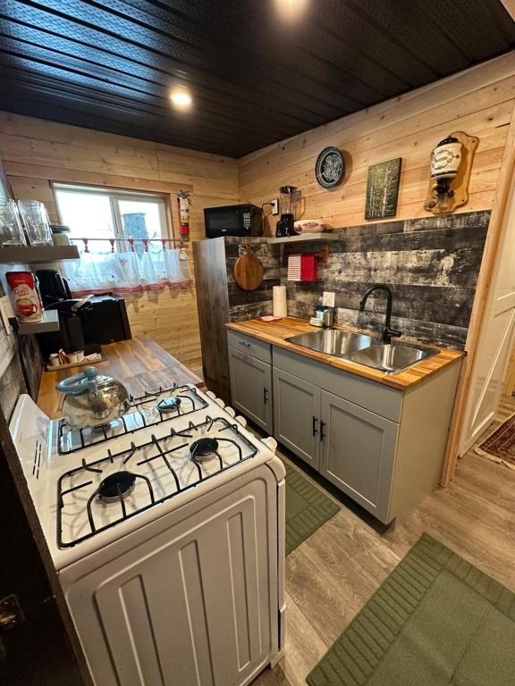 Kuchyň nebo kuchyňský kout v ubytování The Cabin
