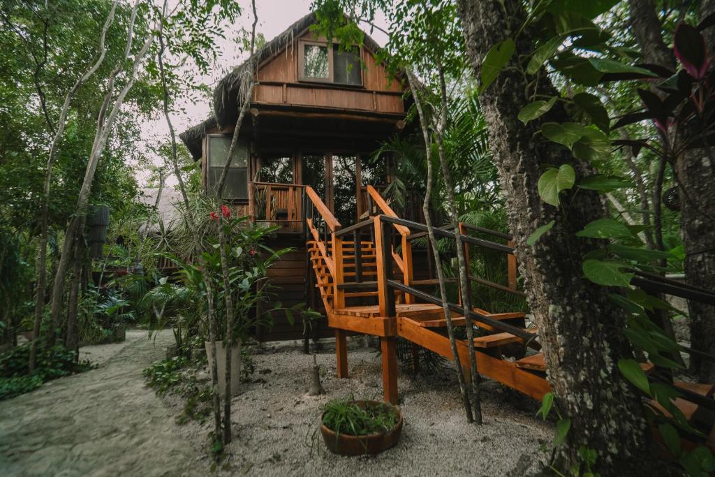 Zahrada ubytování ANAND Ecoaldea