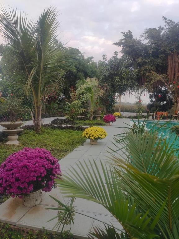 Tuyet's Homestay - 16