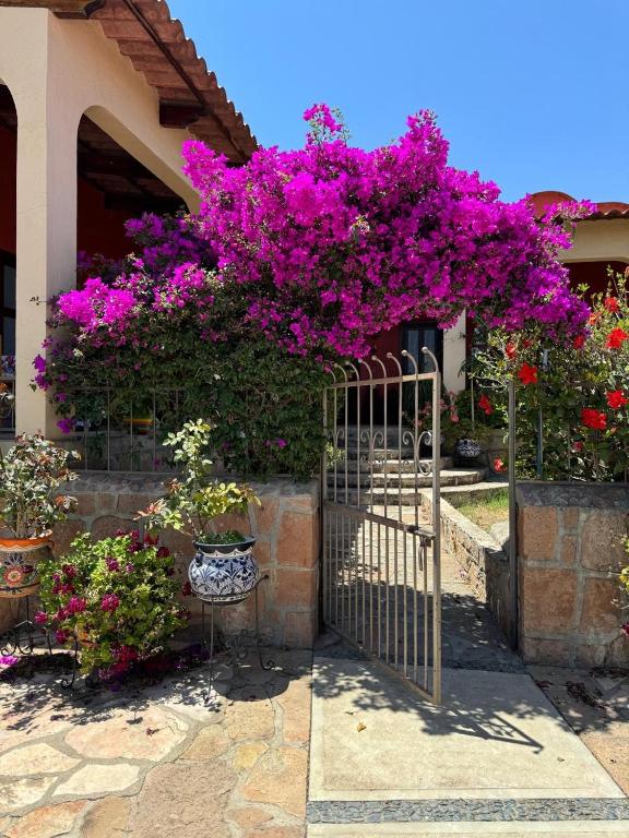 Zahrada ubytování CASONA DOS VIDAS