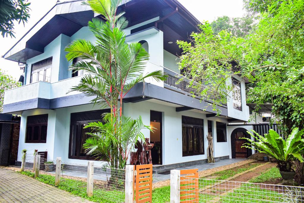 a house with a palm tree in front of it at Wicks Backpacker's Lodge - Peaceful Quality stay, Walk to the Historic Galle Dutch Fort and the beach in Galle