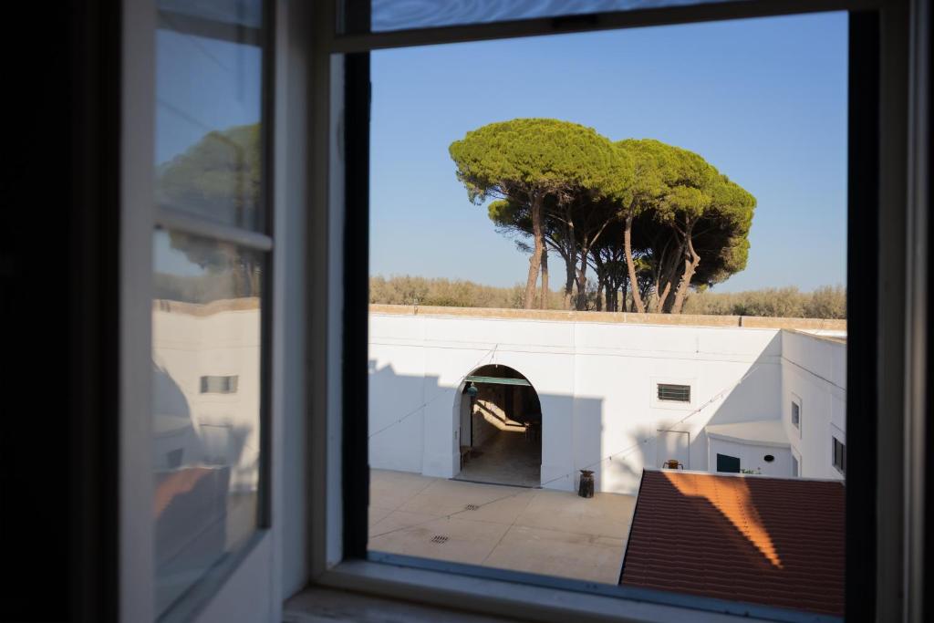 Masseria Filippo de Raho - Agri Bio Relais - Habitación Doble Deluxe Con Baño