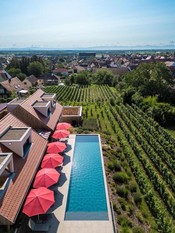James Vignoble Hôtel, Eguisheim – photo 14