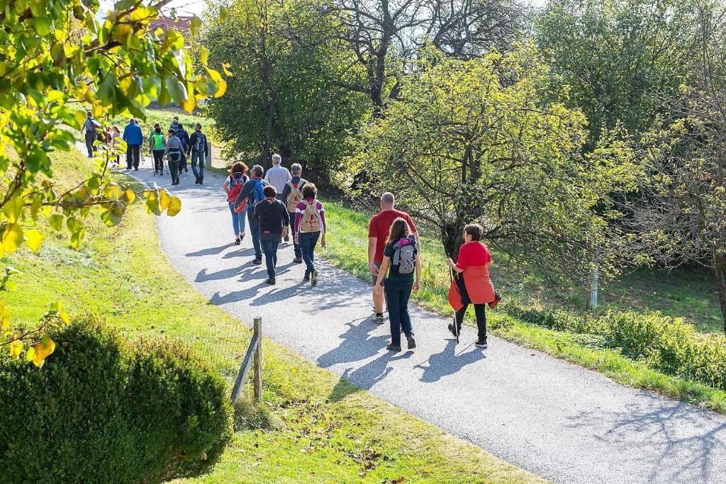 Hosté ubytování Ferienwohnung in ruhiger Lage, Garten - 1 SZ