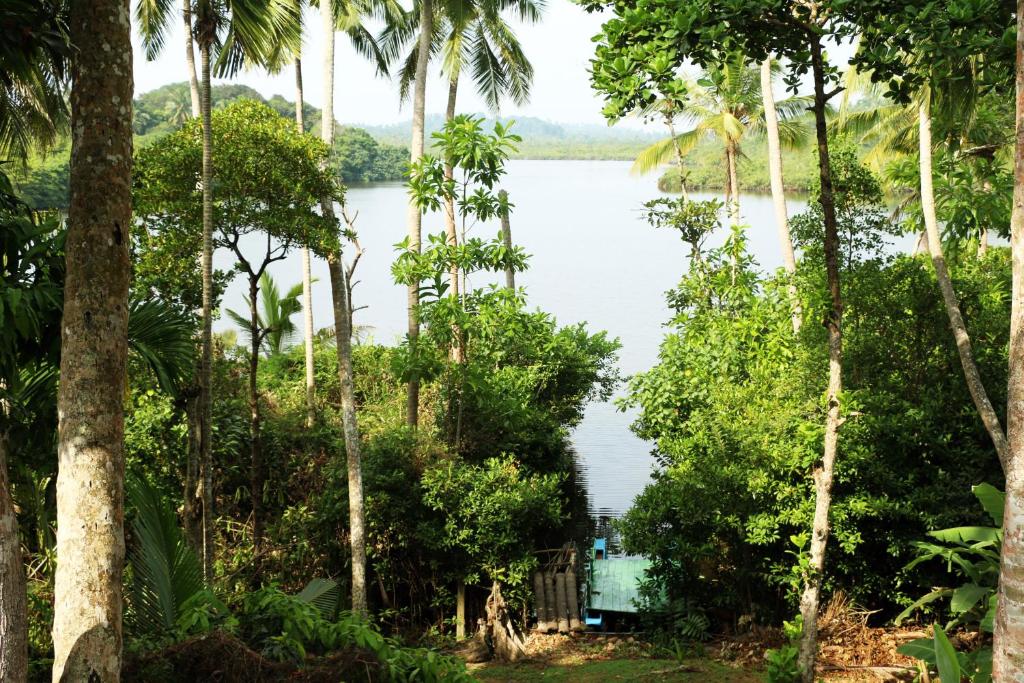 米瑞莎的住宿－Atulya Lake View - Resort and Spa，相簿中的一張相片