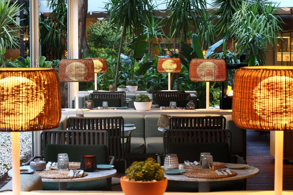 Melia Lebreros - Resim 23