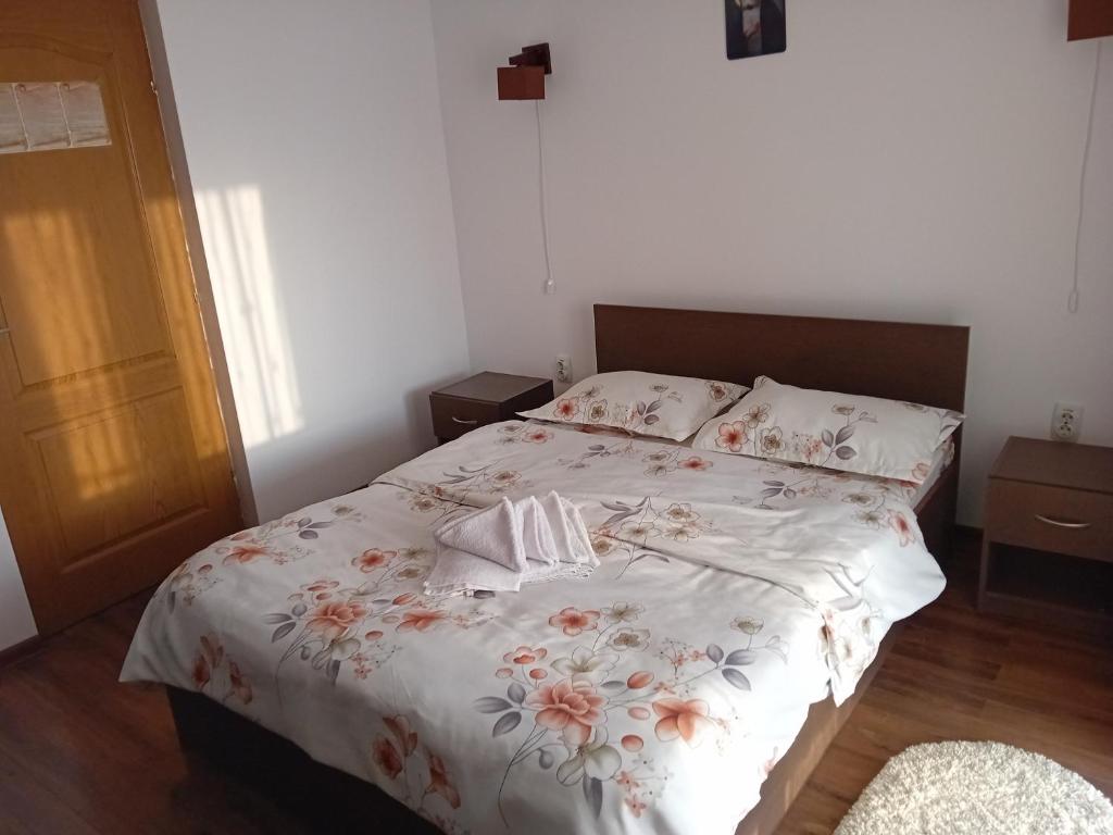 Pensiunea Dimitrie - 