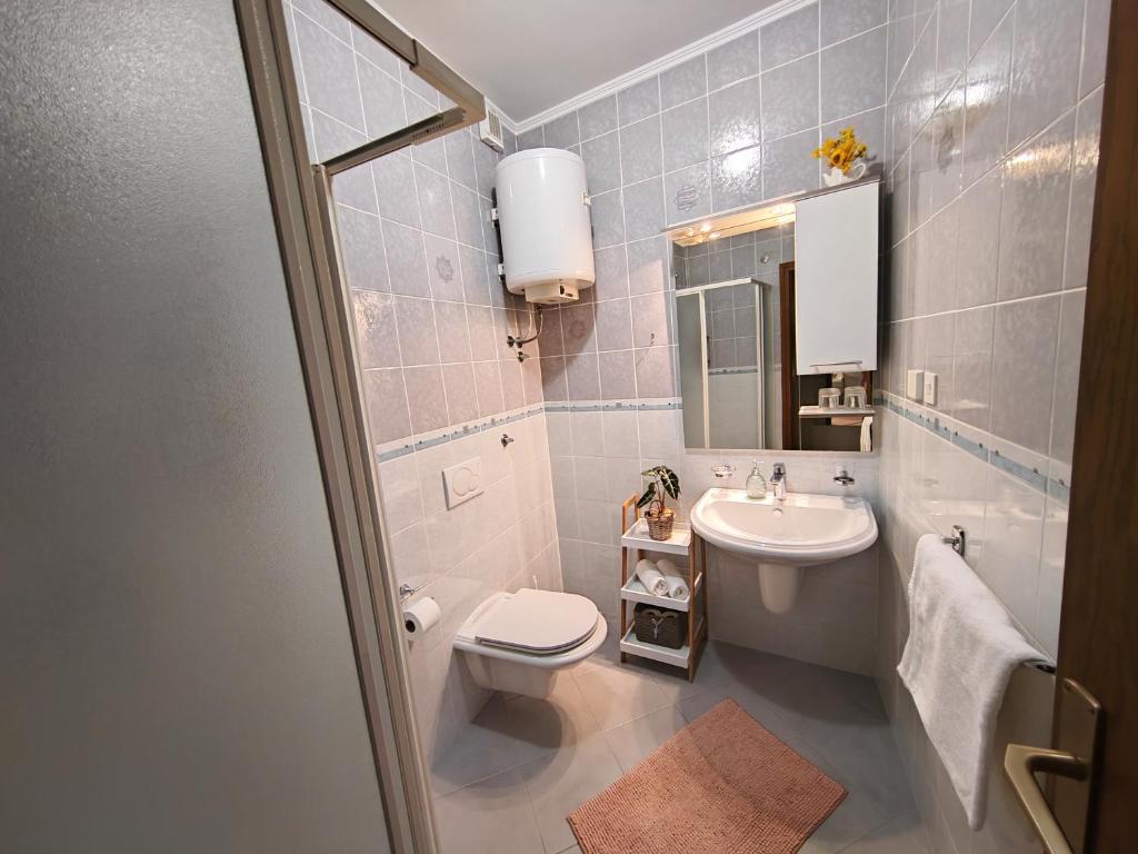 un bagno con un water e un lavandino di Rooms Irena Gregov a Mošćenička Draga