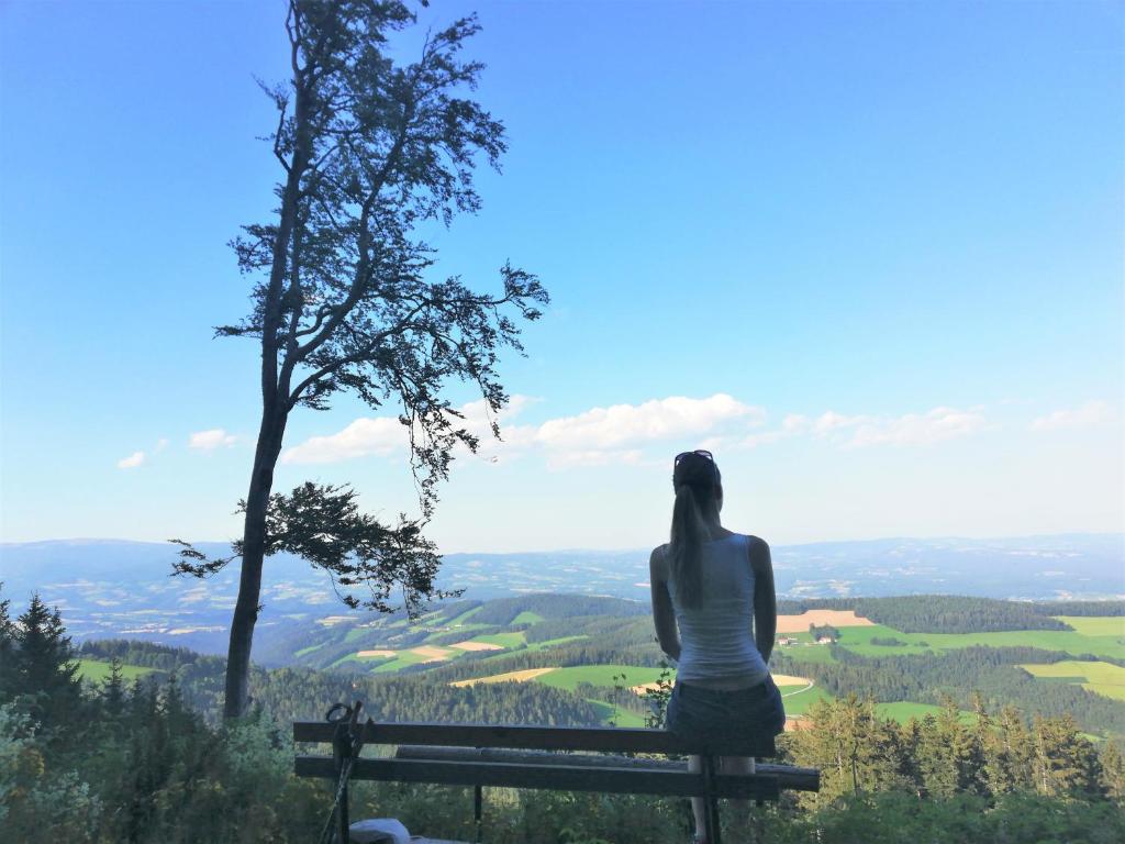 Príroda v okolí dovolenkového domu