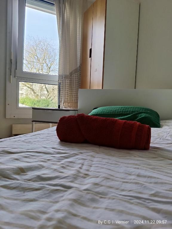 Jolie Chambre confortable proche de l'aéroport - Resim 26