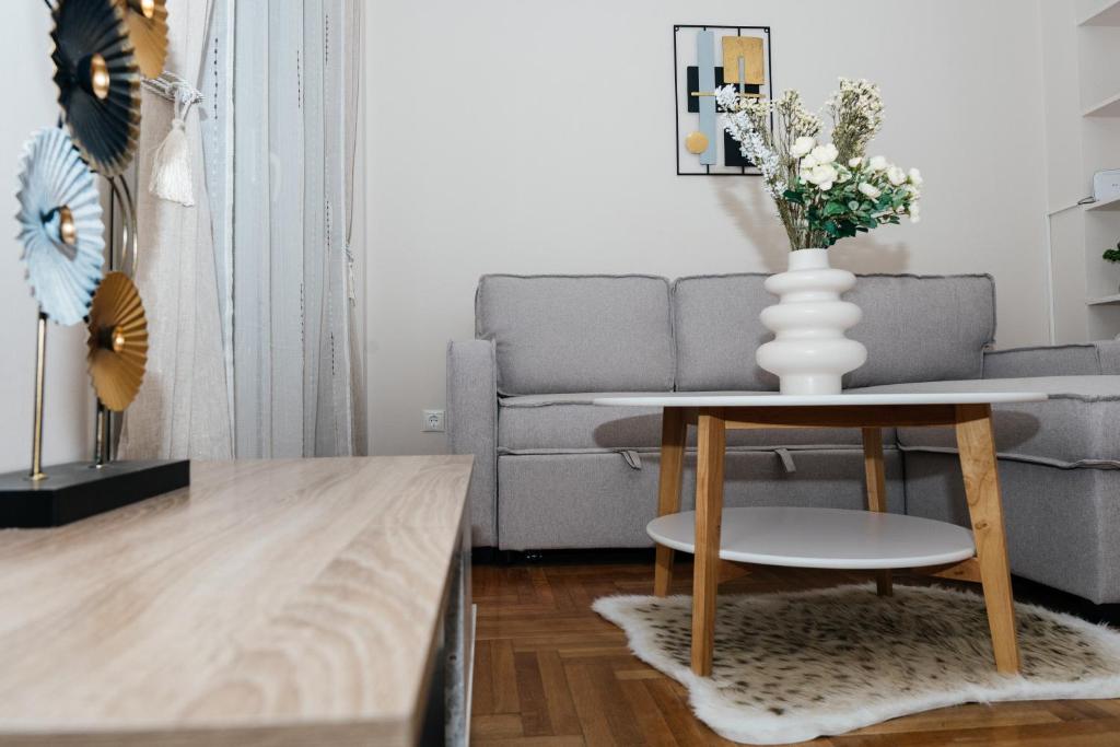 Posedenie v ubytovaní luxury apartment center athens (wifi)