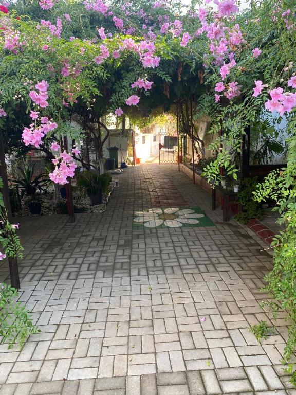 Zahrada ubytování Betul Guest House