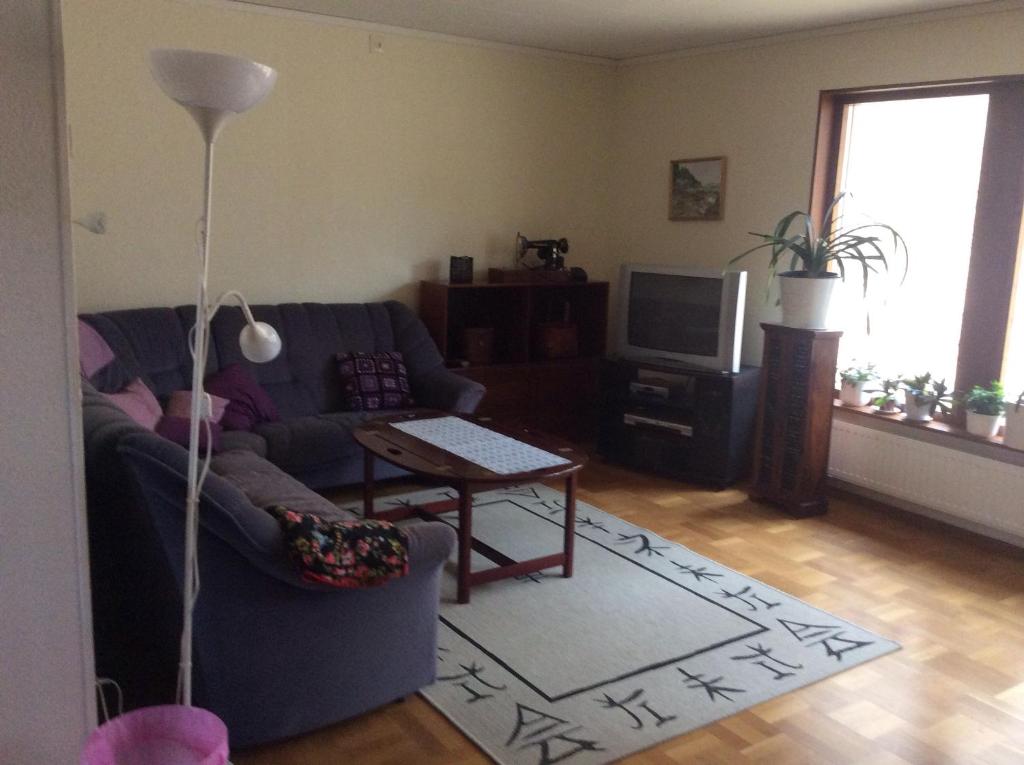 TV a/nebo společenská místnost v ubytování Ängens B&B