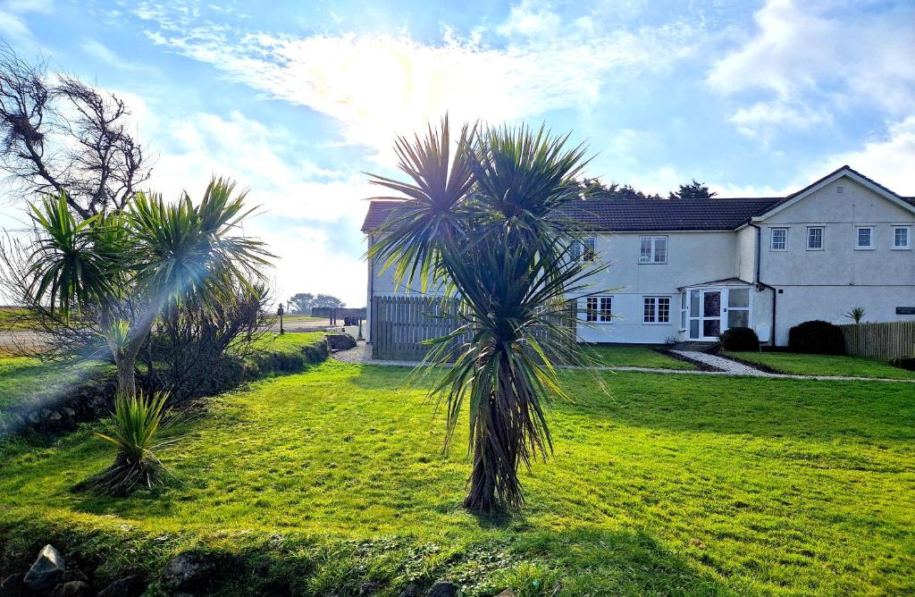 a house with palm trees in front of a yard at Idyllic location, Amazing view, Spacious in Marazion