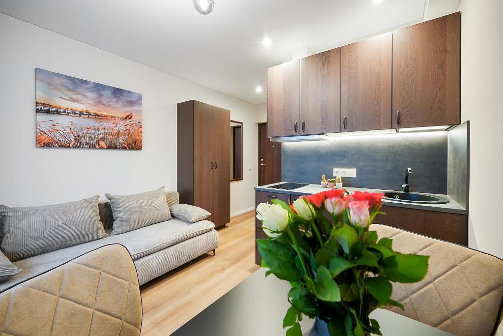 Kuchyň nebo kuchyňský kout v ubytování Stylish studios near the city center