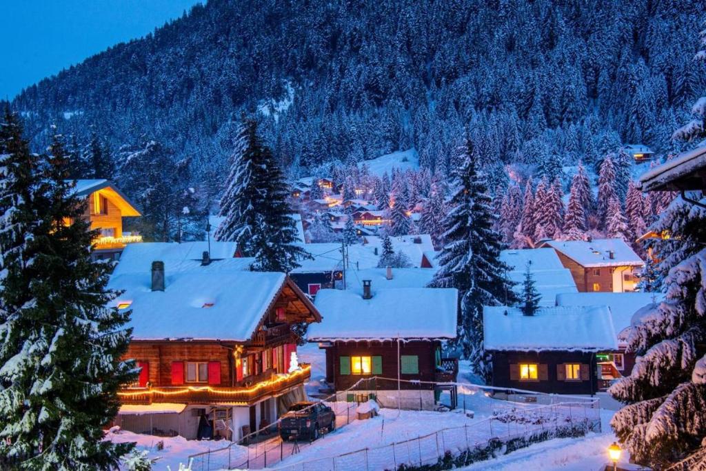 Morgins Cosy, Ski-in & out, Parking, Vue, Central, Wifi v zimě