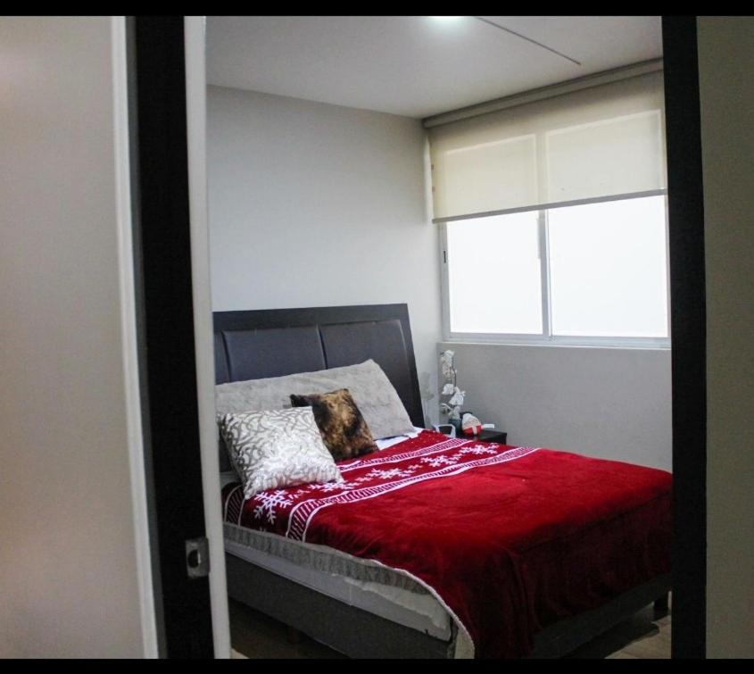 un cane che giace su un letto in una camera da letto di Acogedora Recamara Matrimonial con Blackout - A solo 2 cuadras del WTC! a Città del Messico