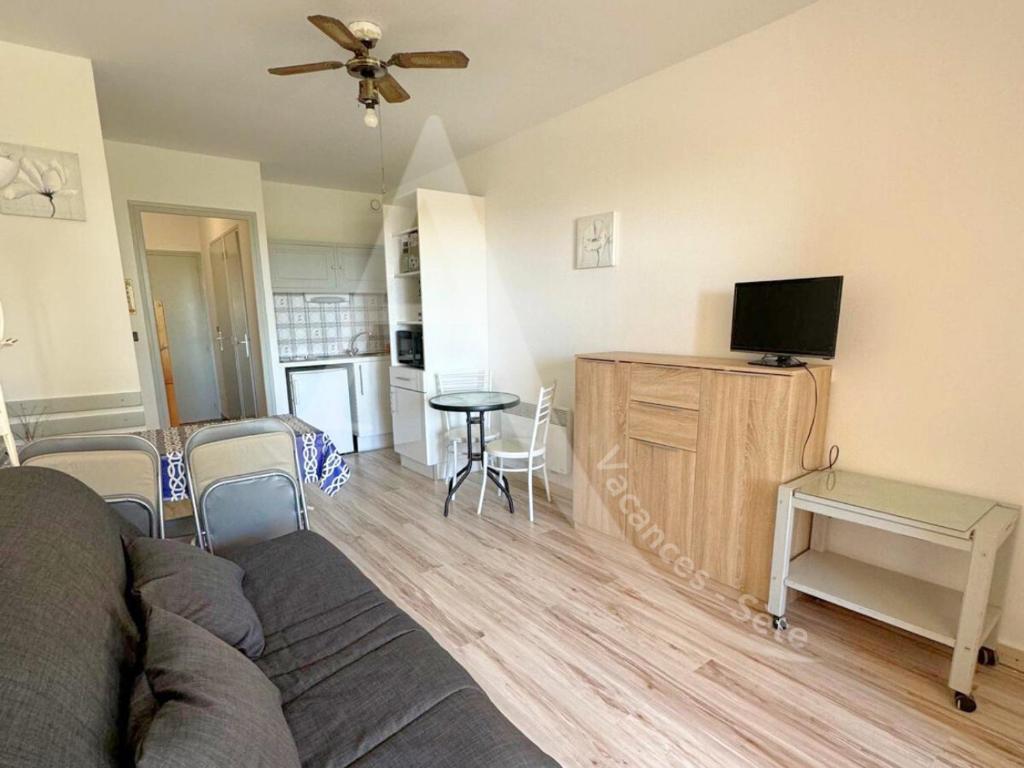 un salon avec un canapé et une télévision à écran plat dans l'établissement LES GRANGETTES, 4 pers, terrasse et parking, à Sète