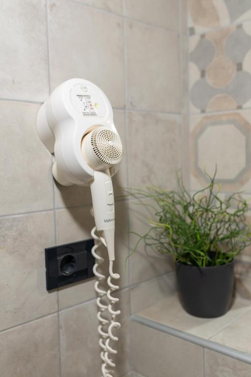 Apartments Korta - 9