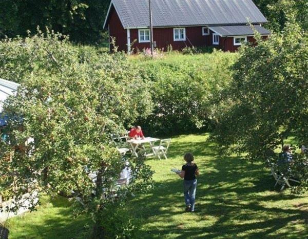 Zahrada ubytování Tåtorp vandrarhemmet