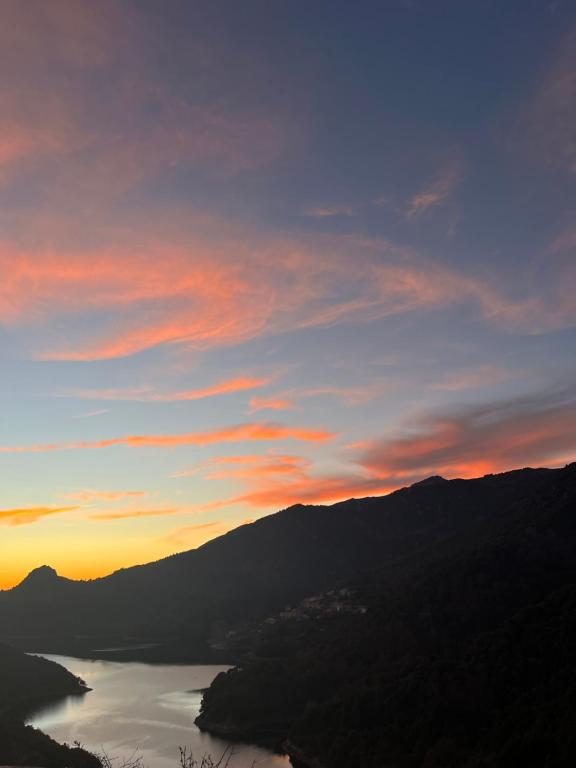 Příroda nedaleko venkovského domu