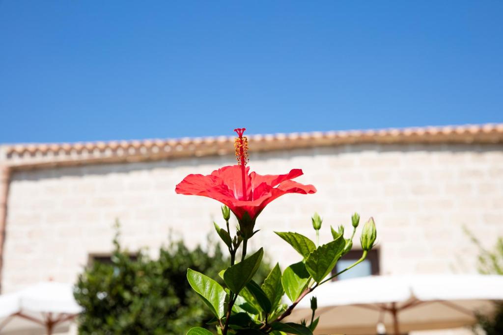 Foto dalla galleria di Il Borgo Del Principino a Favignana
