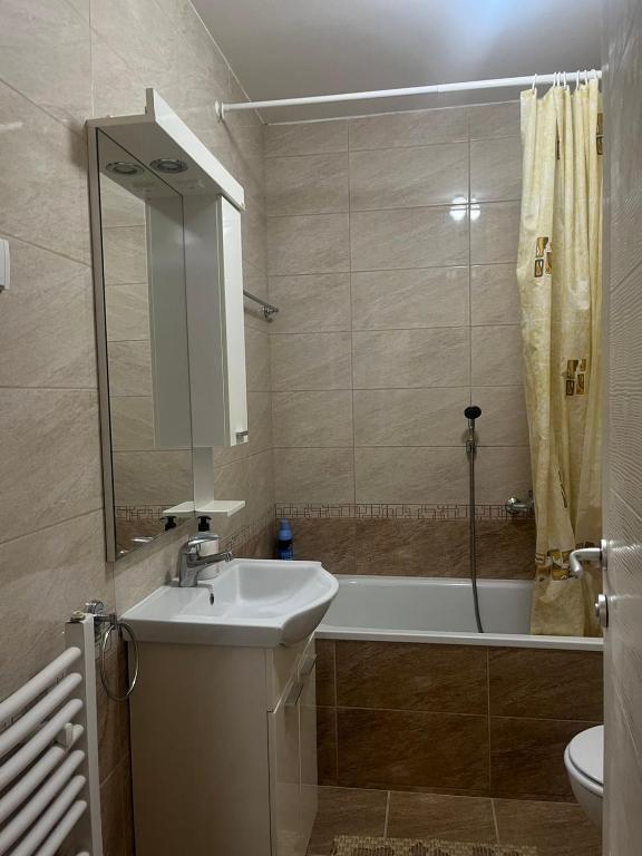 Bagno di Apartman Milkovic 2