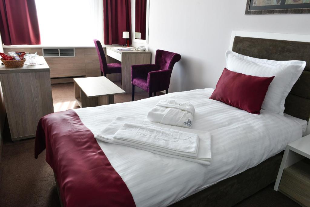 Hotel Ana Lux Spa - Standart İki Yataklı Oda