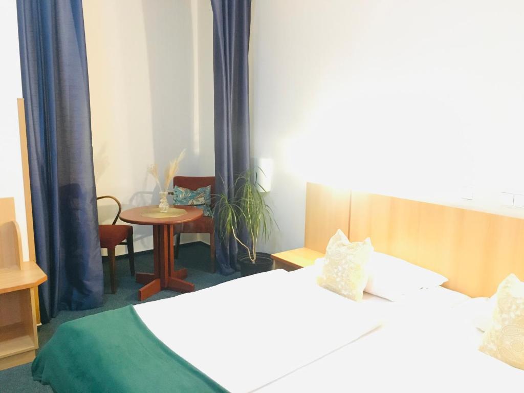 Penzion Hotelu Central - 6