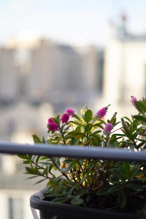 Hôtel Le Montmartre Saint Pierre - Resim 17