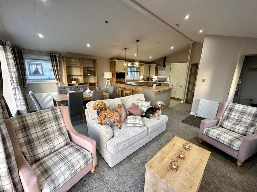 Posezení v ubytování Luxury 3 bedroom Maple View Lodge, Newquay, Cornwall