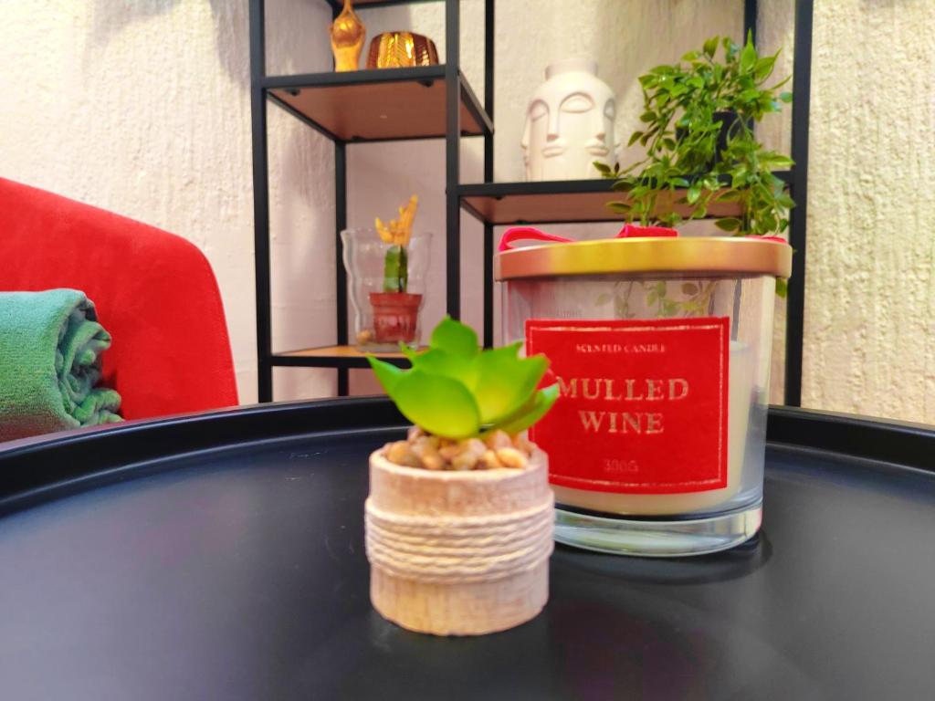 a table topped with a small green plant in a holder at Apartman Jezz II, Zagreb in Zagreb