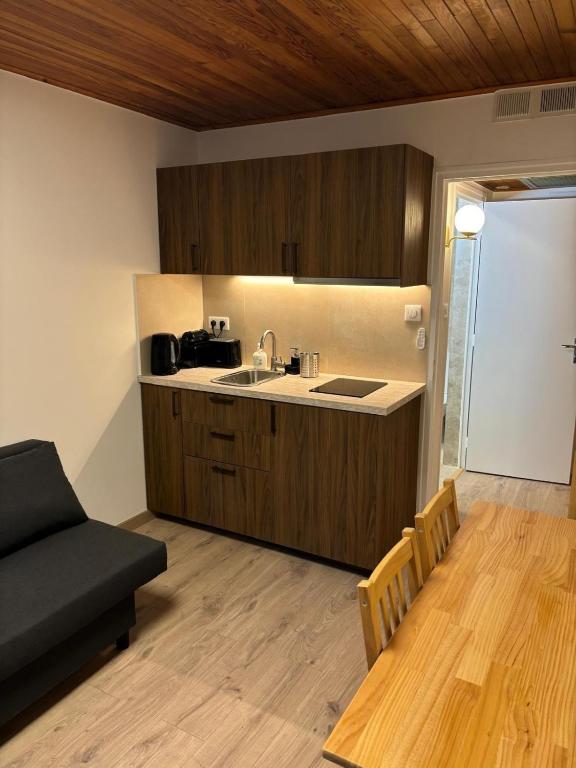 - une cuisine avec un canapé et une table dans une chambre dans l'établissement Studio 50m des pistes, à La Salle Les Alpes