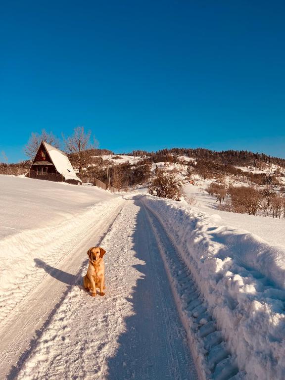 Chalet Villa Pod Jemiołą v zimě