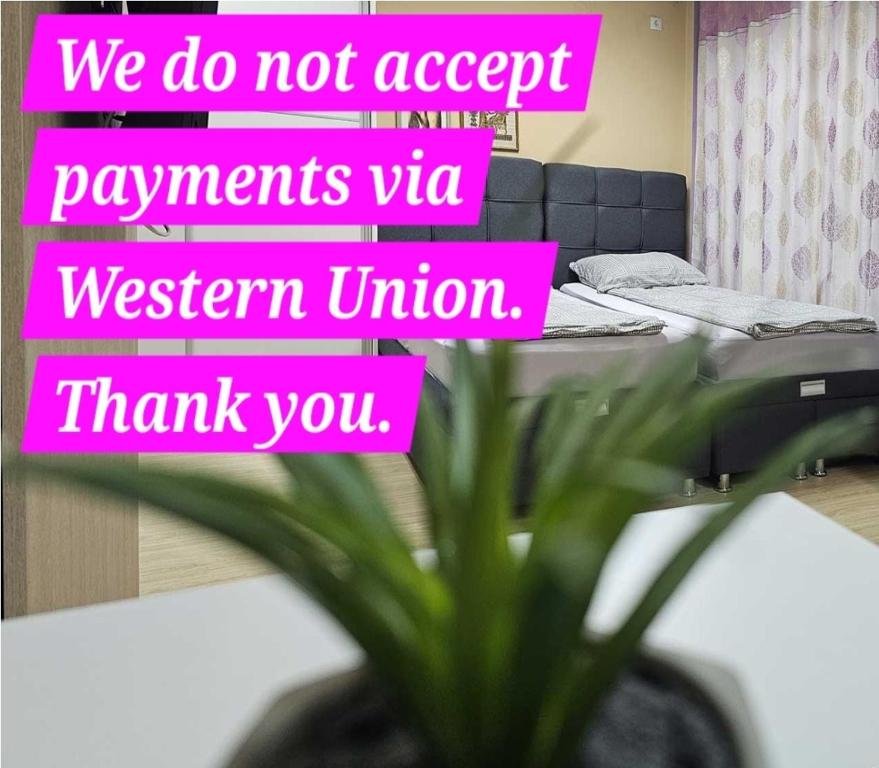 Postel nebo postele na pokoji v ubytování Apartman LENI2 u centru Zajecara
